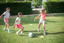 saas-configuration-structure